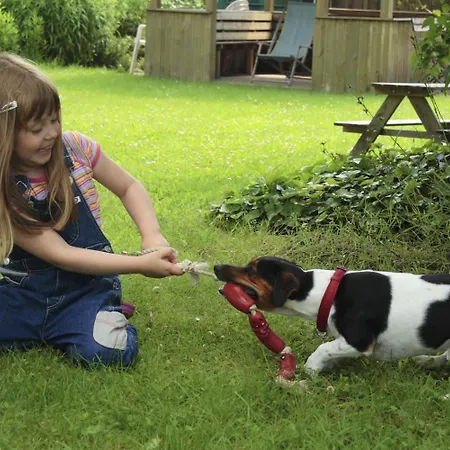 Gaestehaus Luv Und Lee ゲストハウス