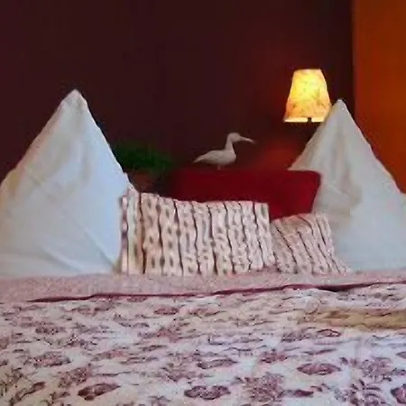 Gaestehaus Luv Und Lee ゲストハウス Schwartbuck