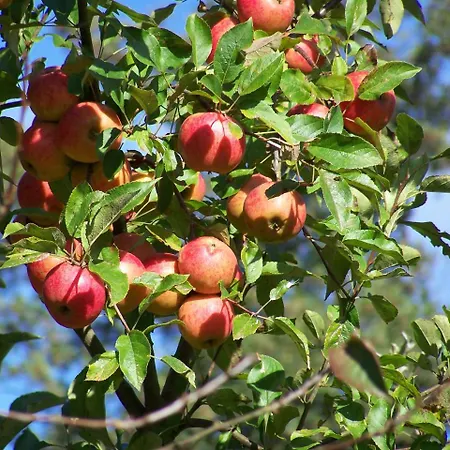 Gaestehaus Luv Und Lee